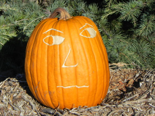 Over There, Nipomo Pumpkin Patch best carving idea